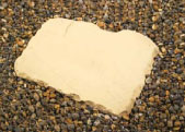japanese barley
