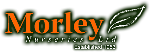 Morley Nurseries Ltd