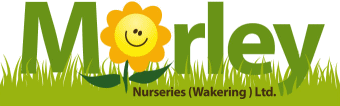 Morley Nurseries Ltd