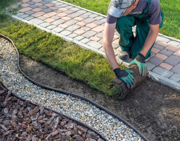 Lawn Turf