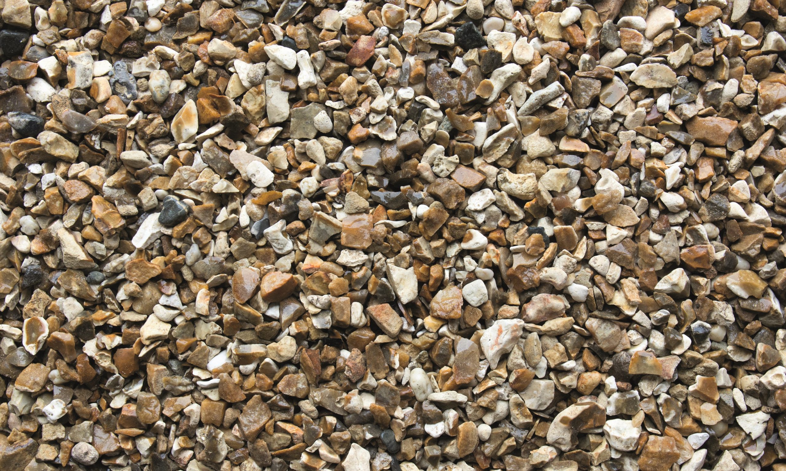 Chard Flint