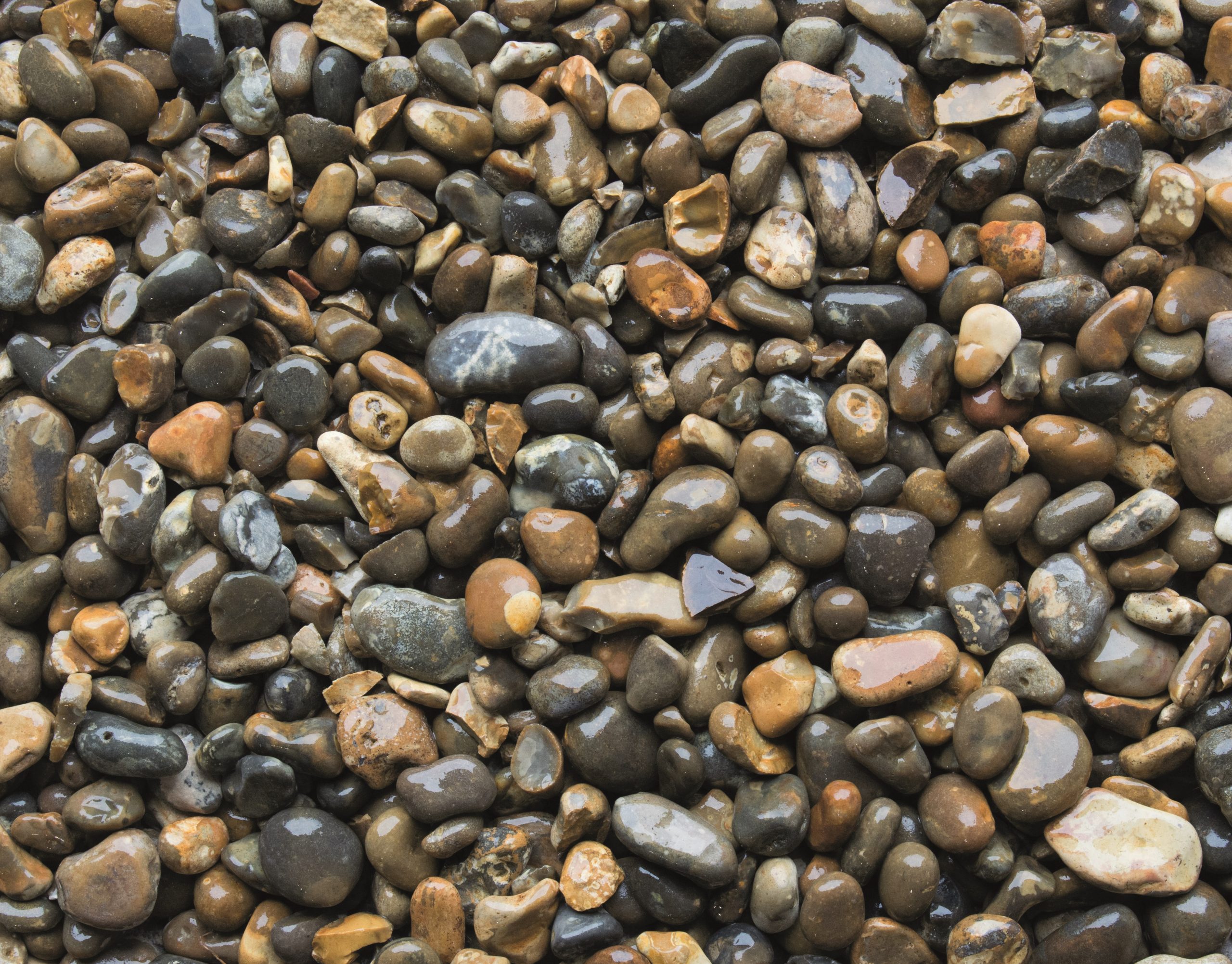 Henham Blend 25-50mm