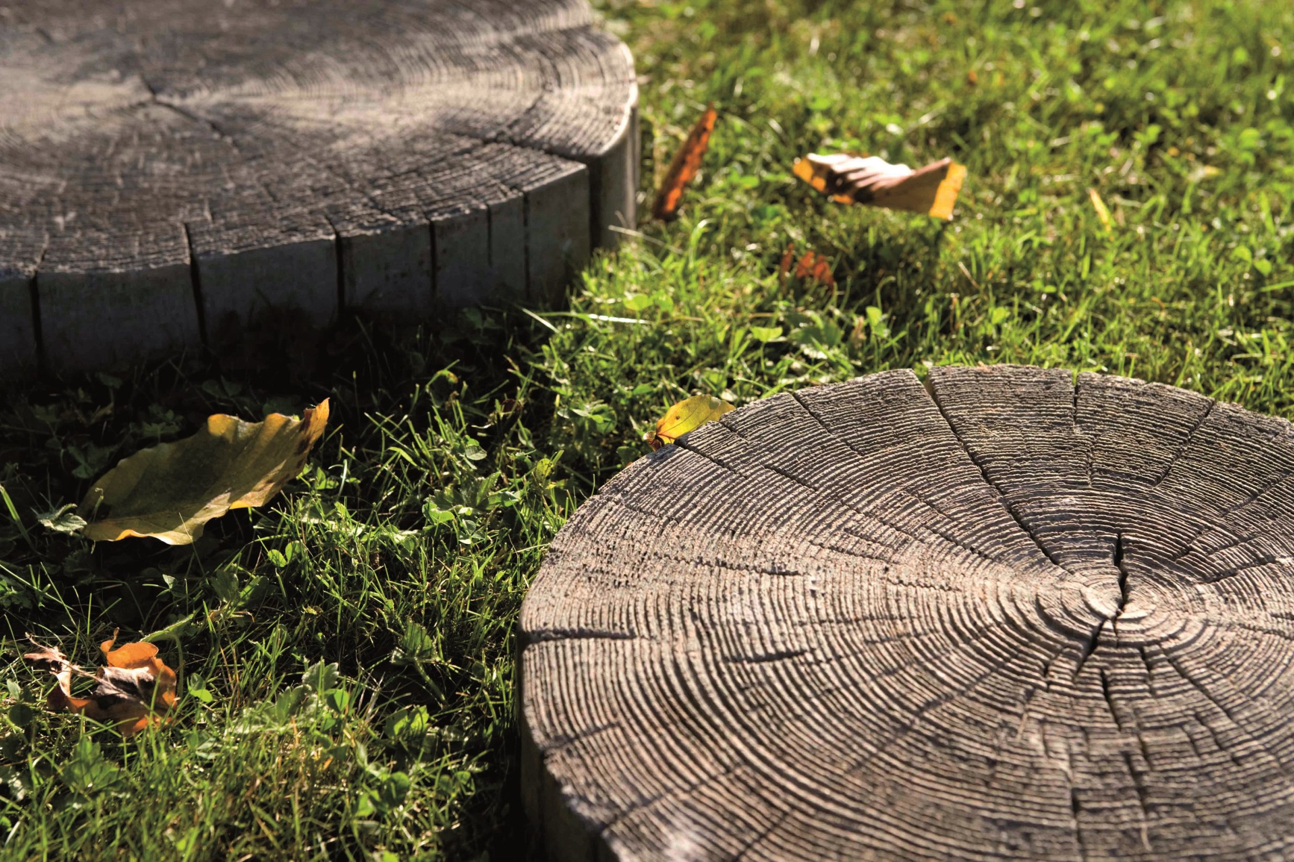 Log Stepping Stone