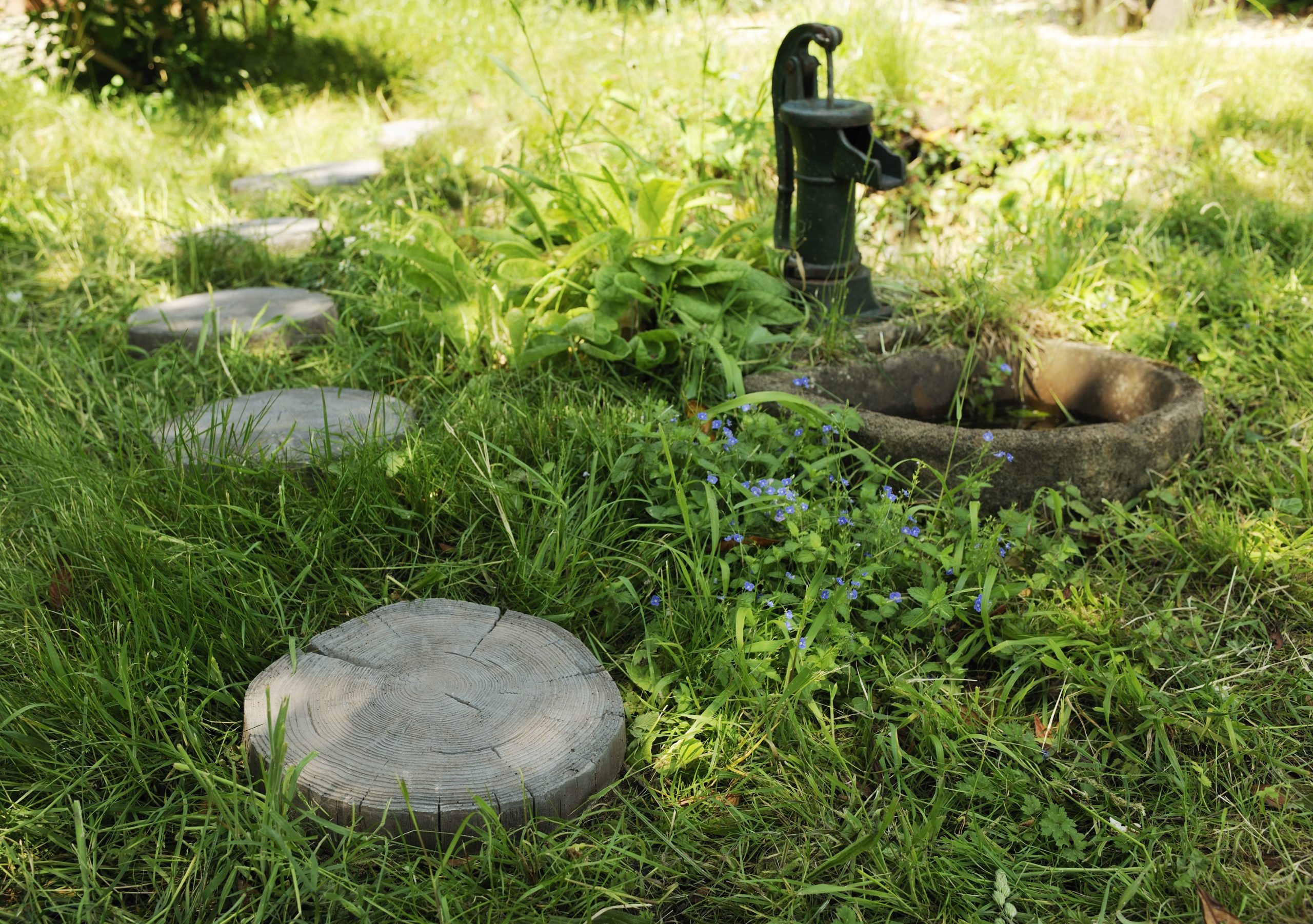 Log Stepping Stone