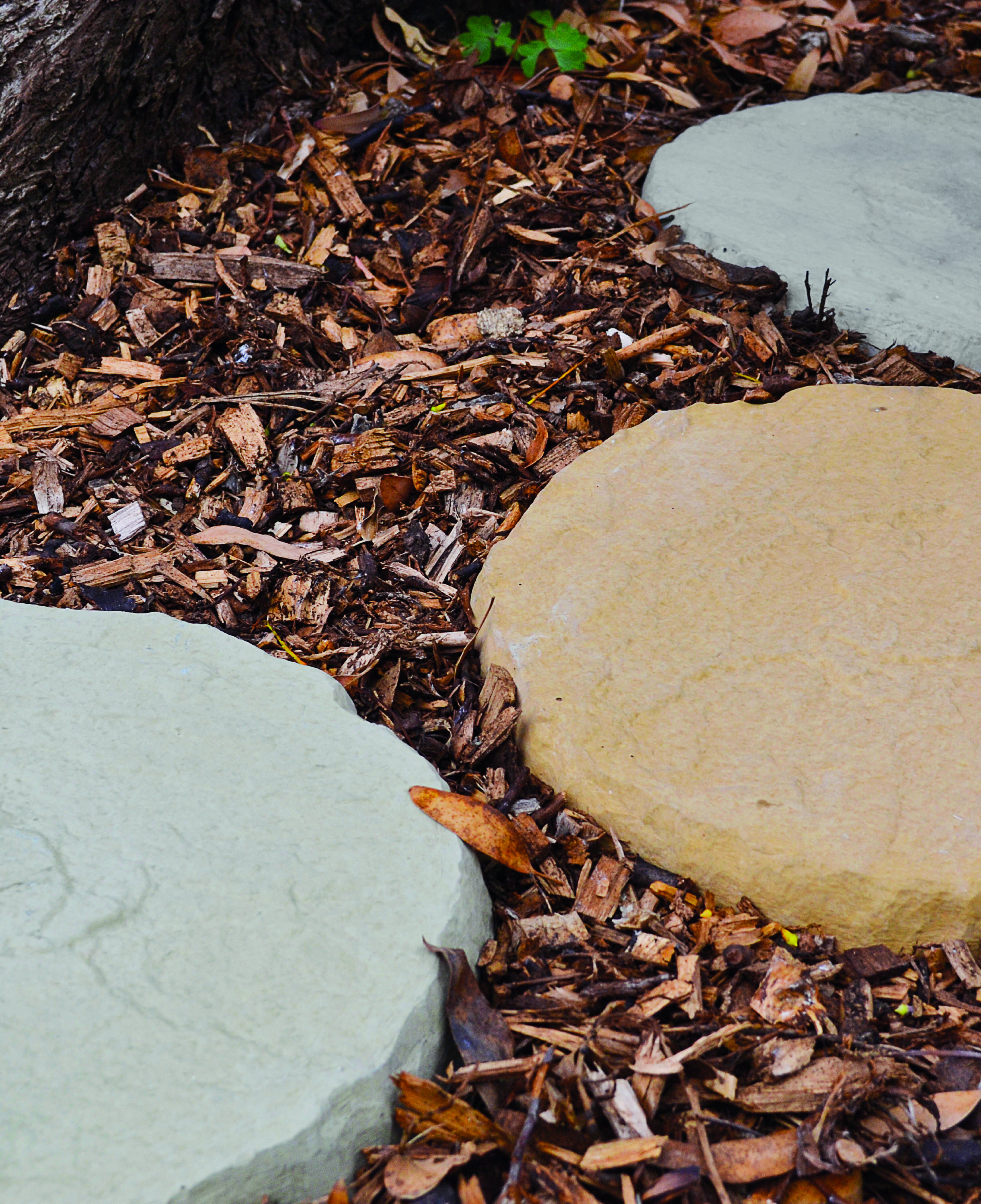 Cathedral Stepping Stone