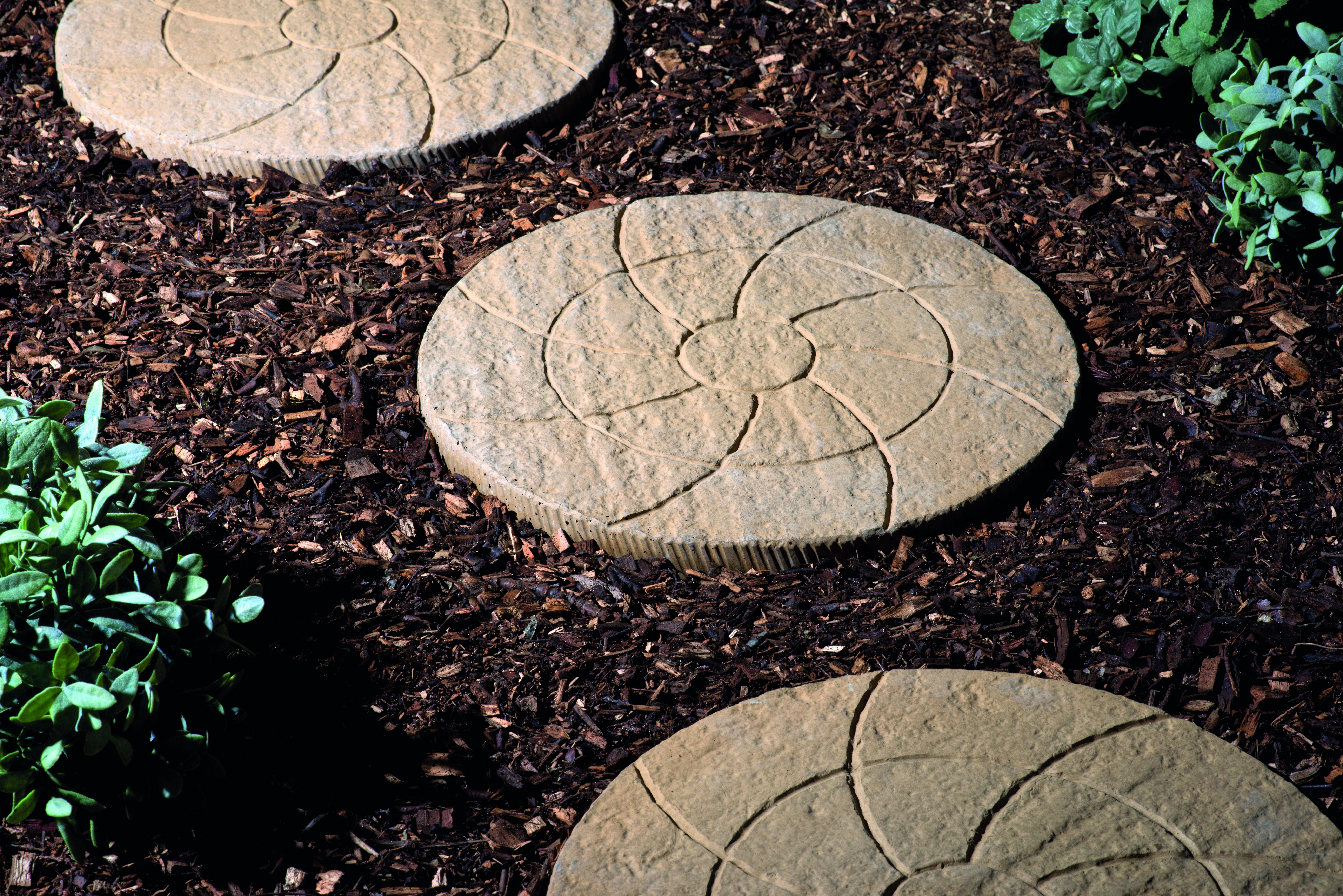 Catherine Wheel Stepping Stone