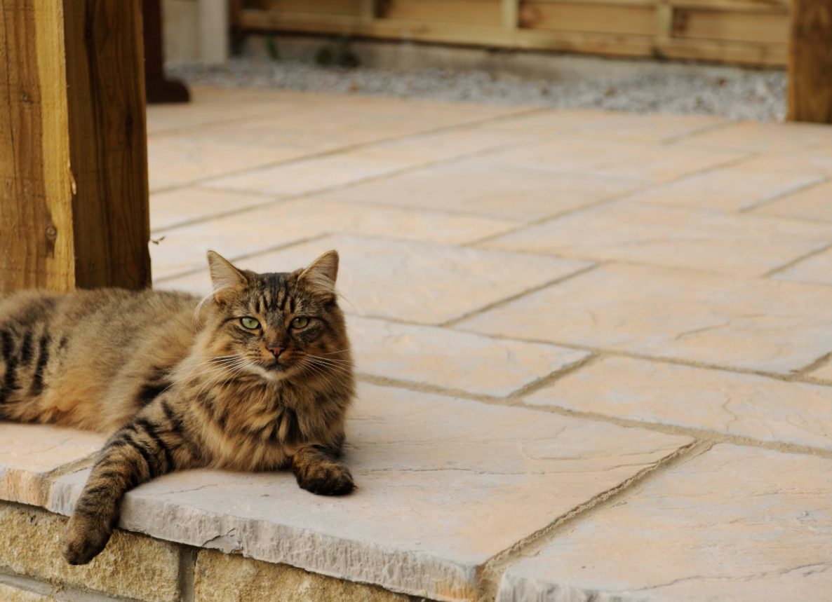 Chalice Paving Kit 5.76m2