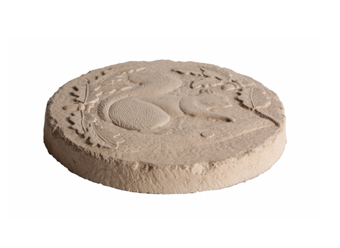 Squirrel Stepping Stone