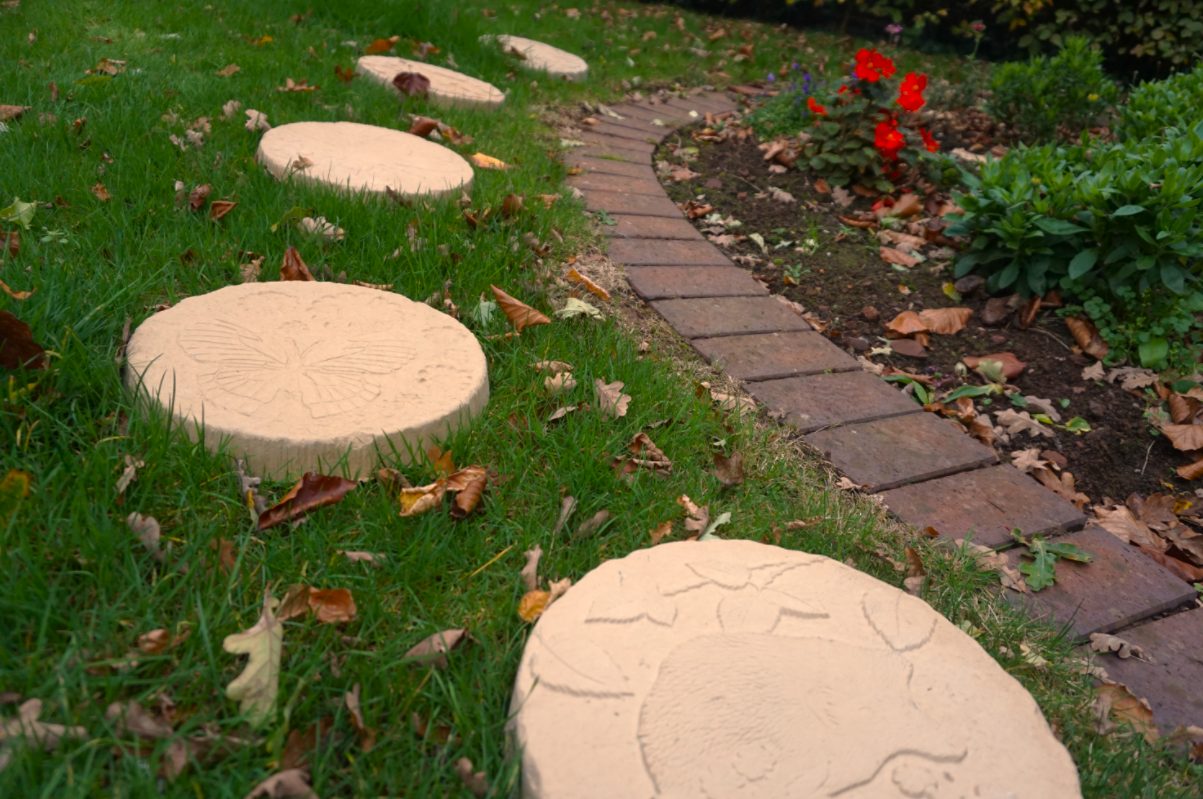 Squirrel Stepping Stone