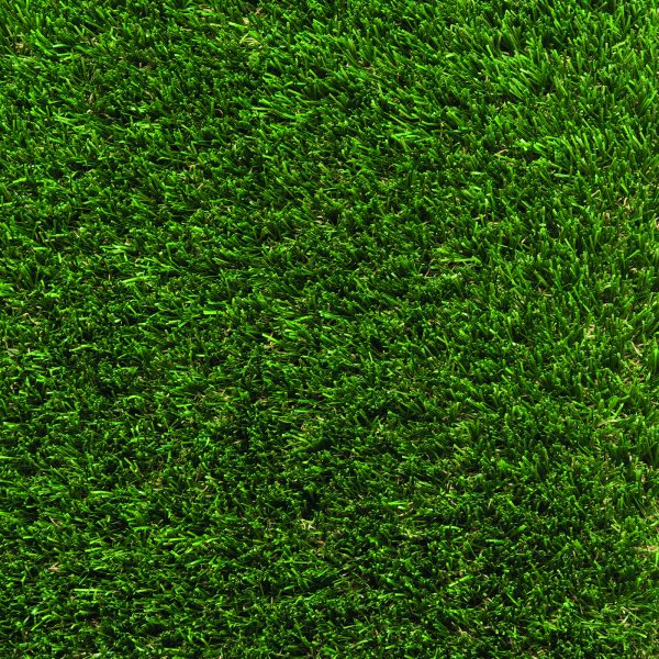 Artificial Grass