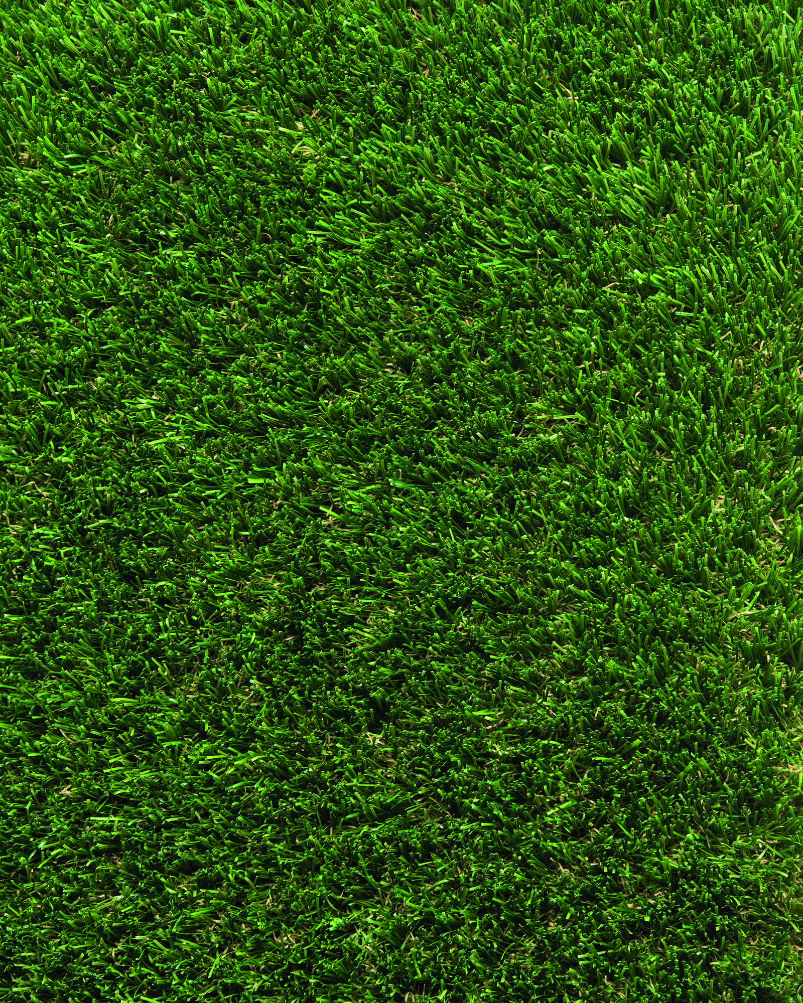 Artificial Grass