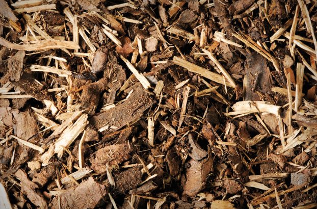 bark