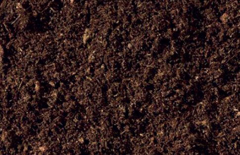 compost