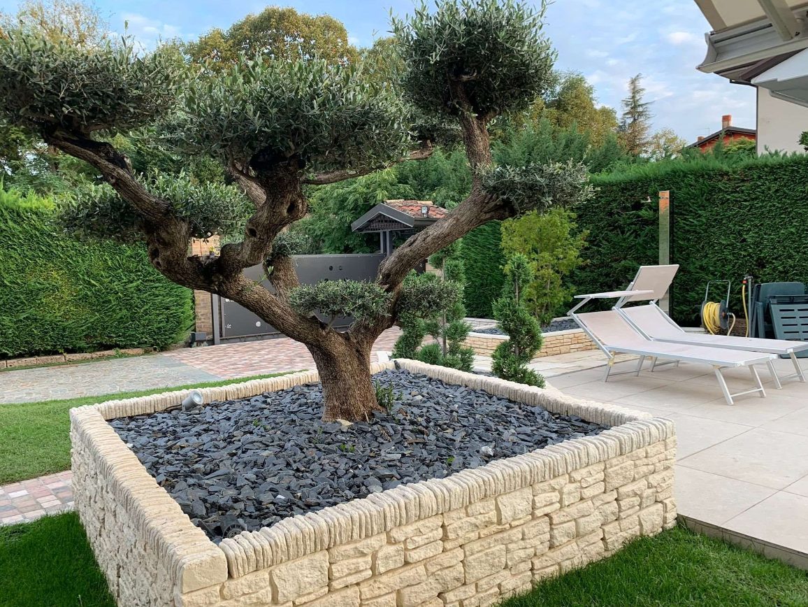Lakeland Coping/Edging